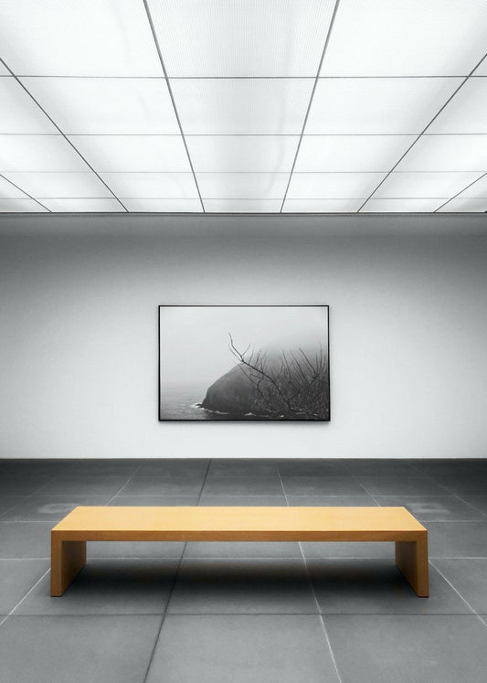 Canvas Framed "Foggy Quidi Vidi" B&W