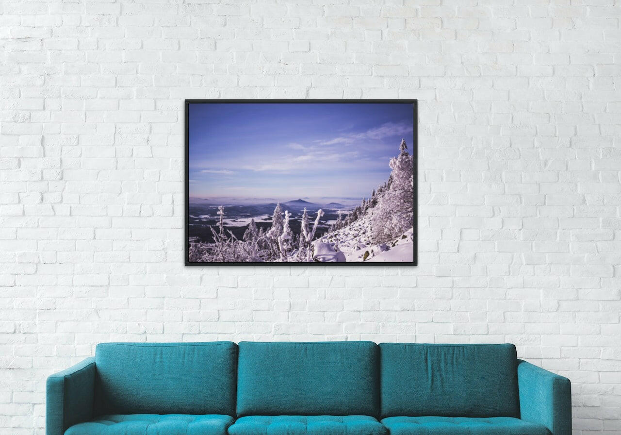 Canvas Framed "Winter Wonderland"