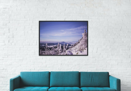 Canvas Framed "Winter Wonderland"