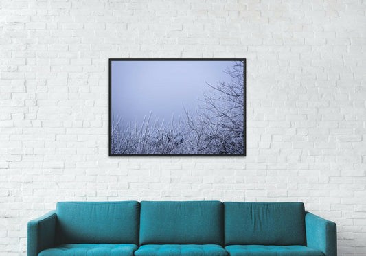 Canvas Framed "Winter Fog"